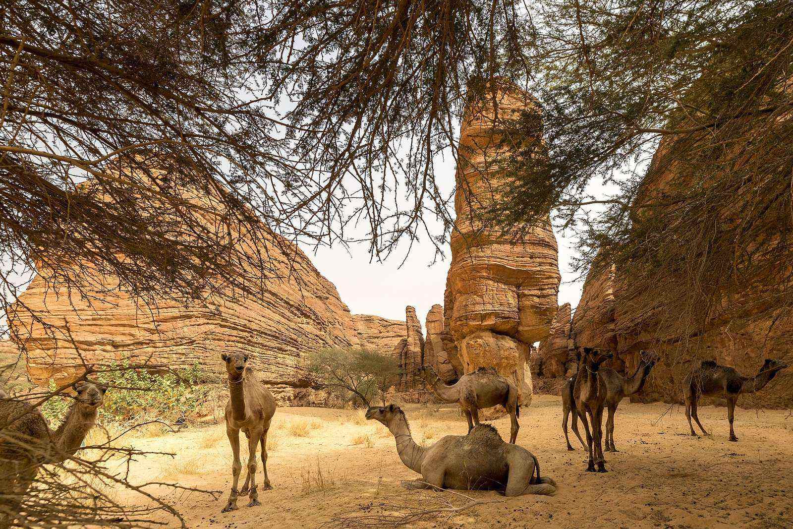 Ennedi Plateau