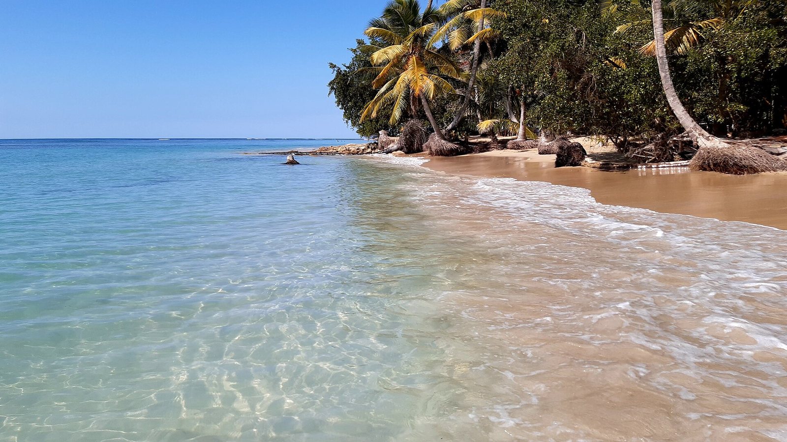 Playa Bonita, Samaná
