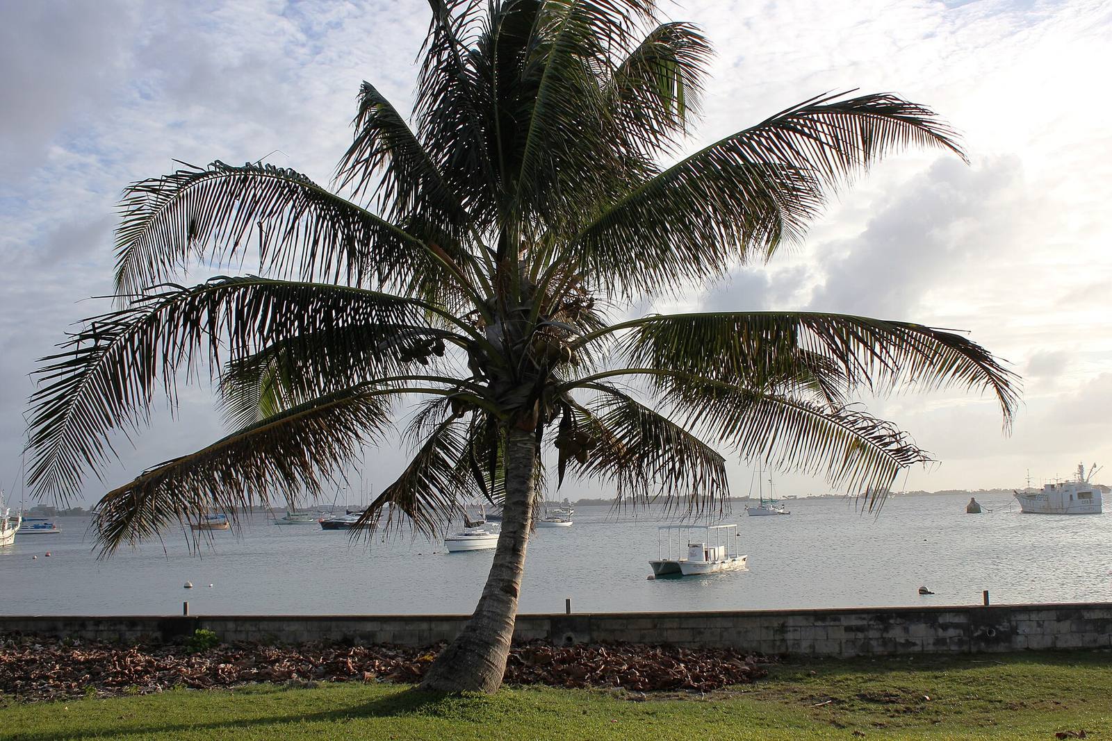 Majuro Atoll