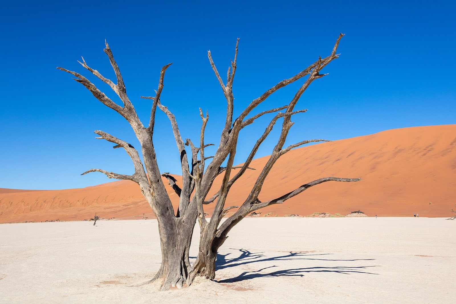 Deadvlei, Sossusvlei