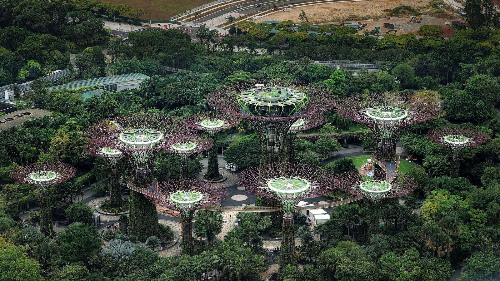 Supertree Grove, Gardens by the Bay