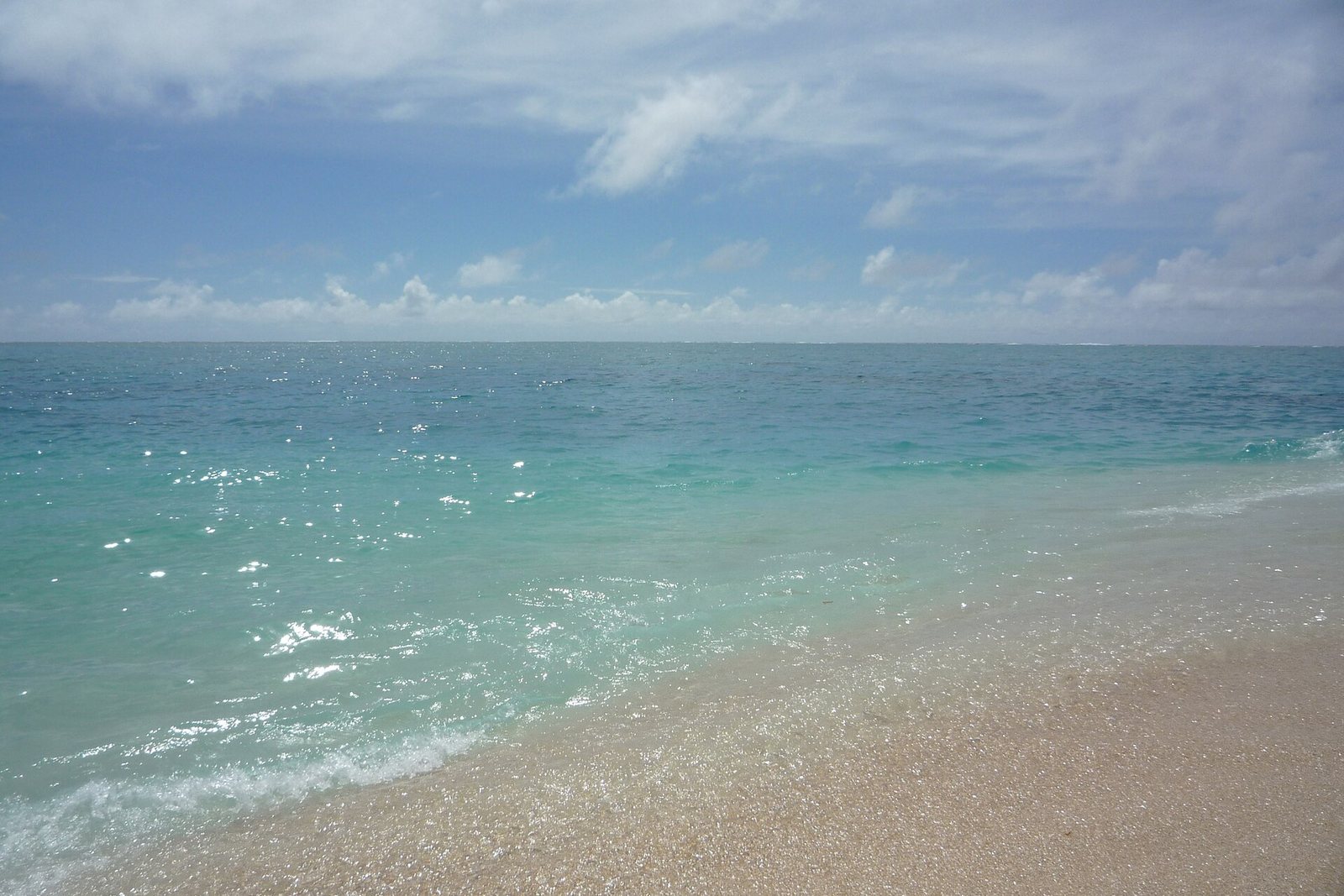 Tongan coast